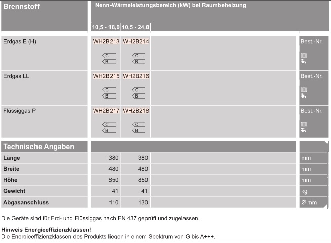 Vitopend 200-W